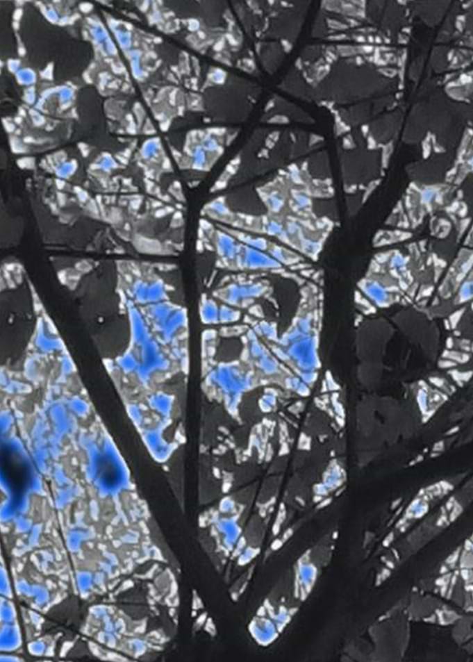 Abstract Contemporary art