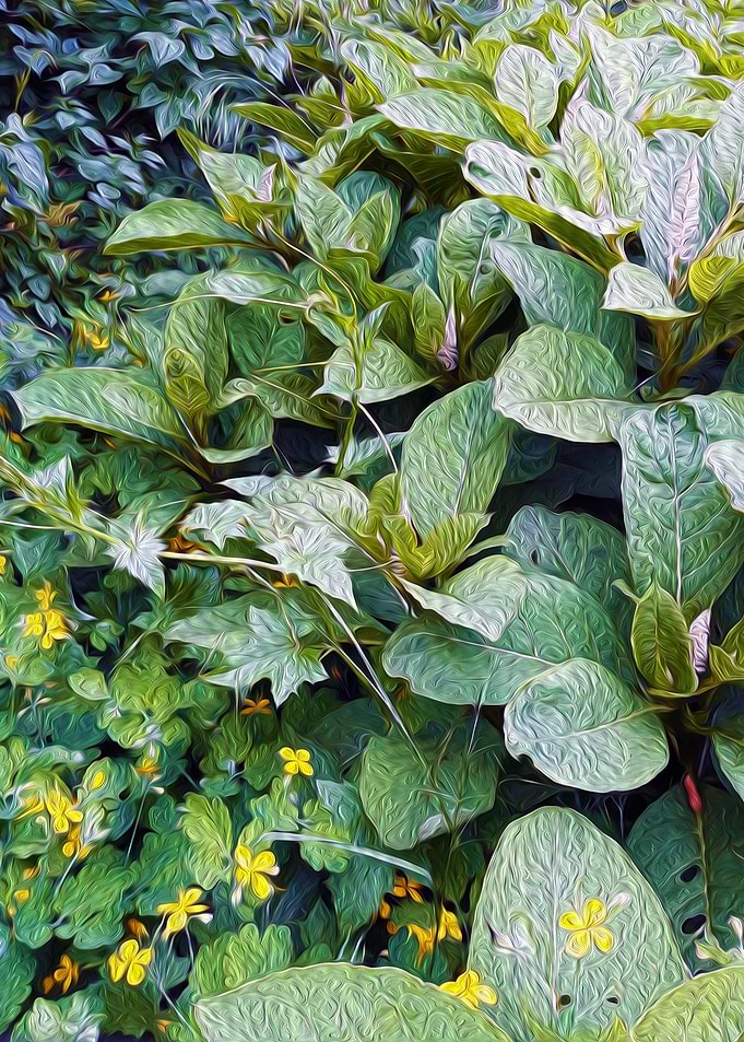 Morning in the garden