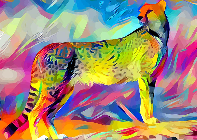 Cheetah