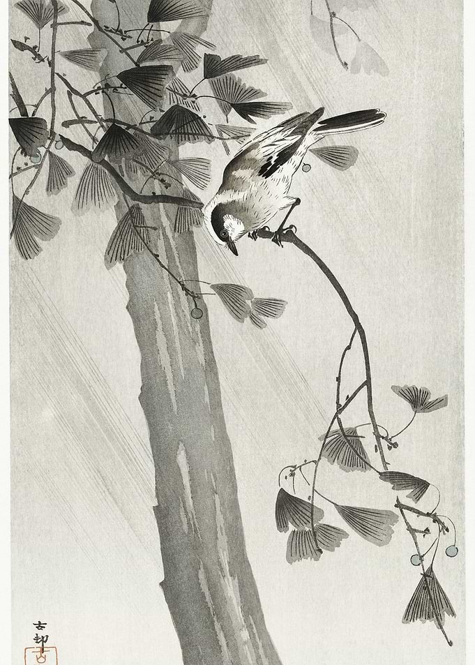 LongTailed Tit In Storm 19