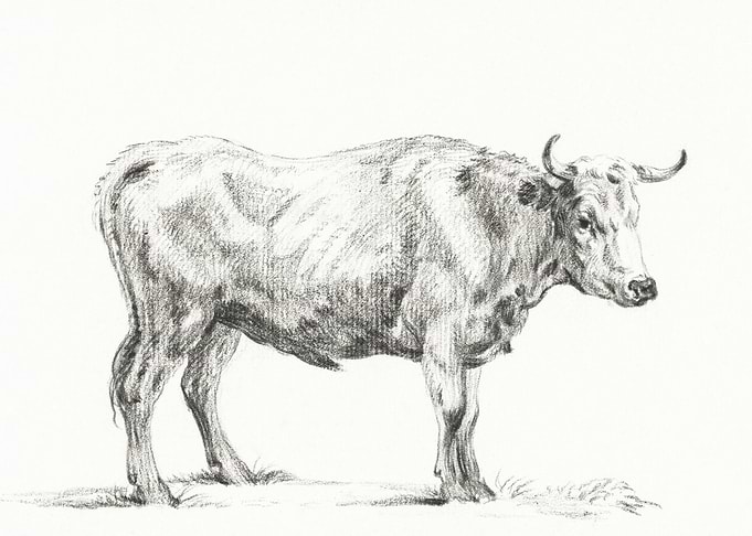 Standing Bull By Jean Bern