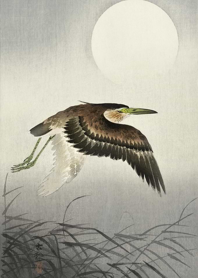 Heron At Full Moon 1900 1