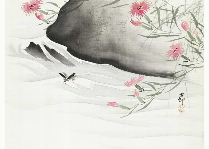 Plants With Pink Flowers B