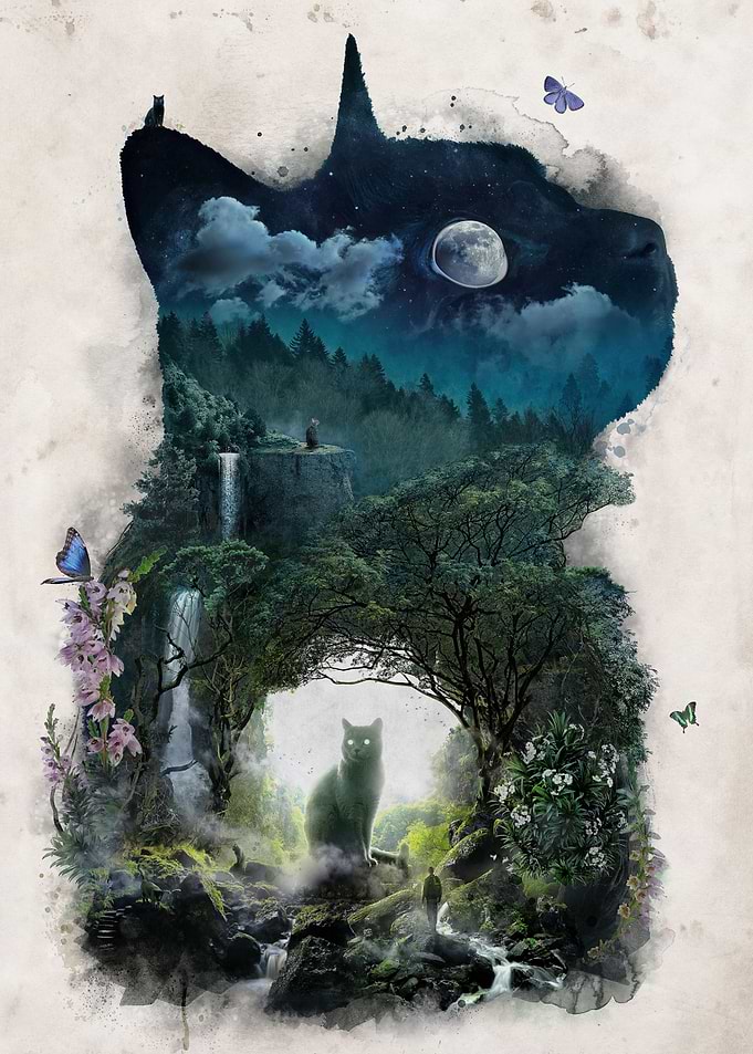 The Realm of Cats