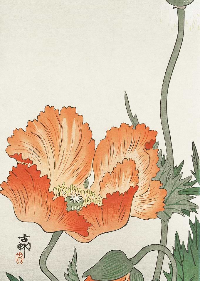 Birds And Plants 1900 193