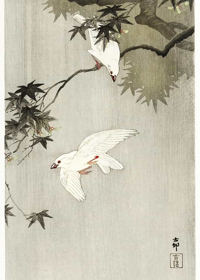 Birds In Rain 1900 1936 B