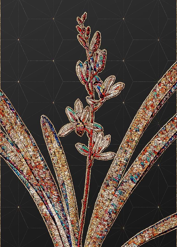 Rainbow Mosaic Botanical