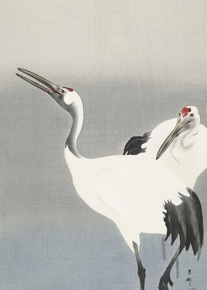 Two Cranes 19001930 By Oha