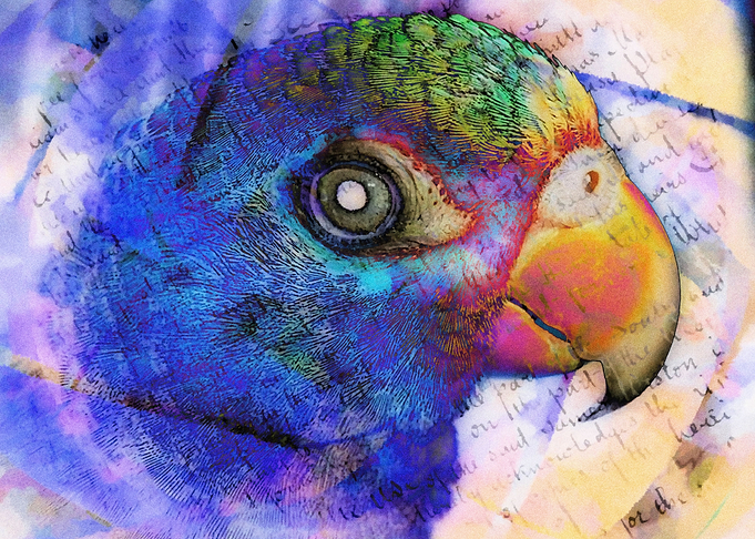 Poem of a bird