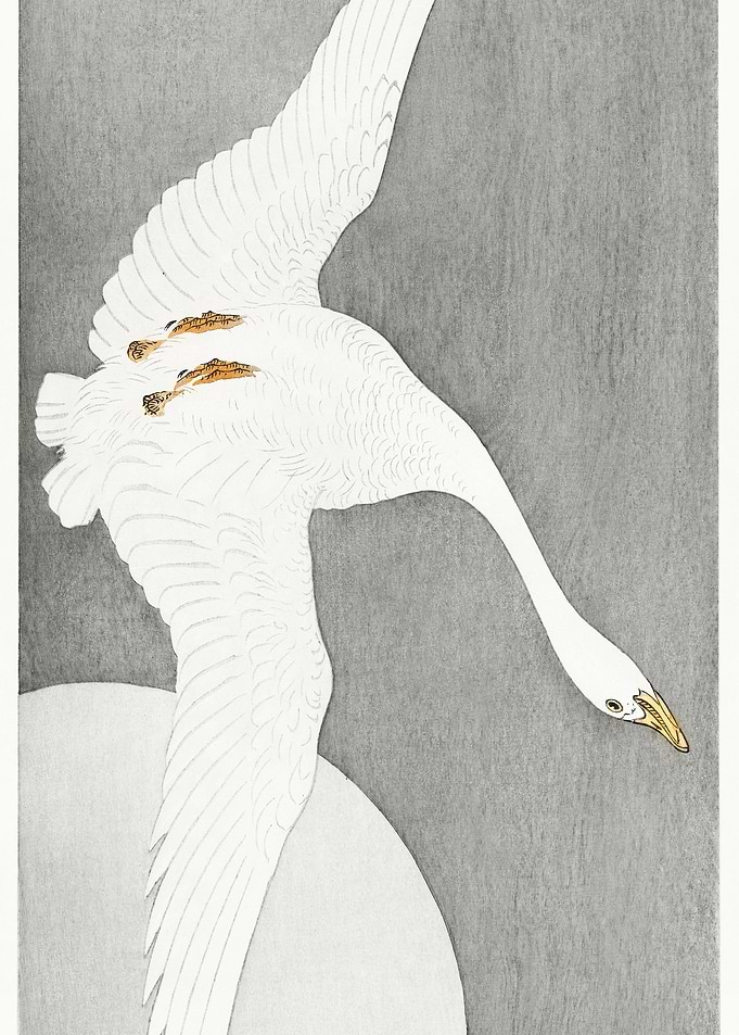 Goose At Full Moon 1900 1