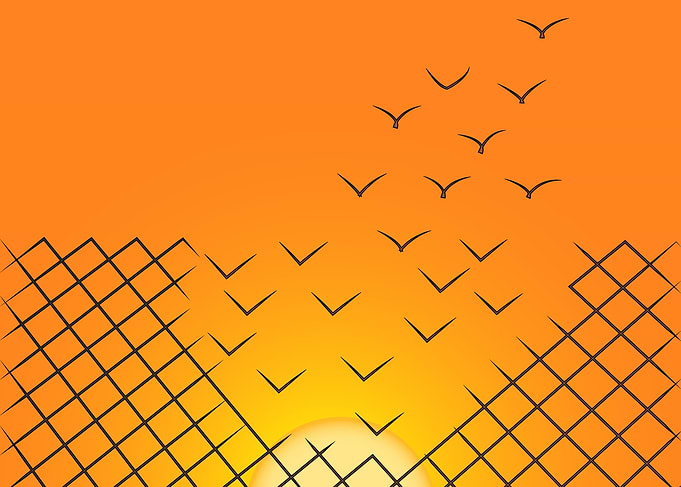 sunset escape