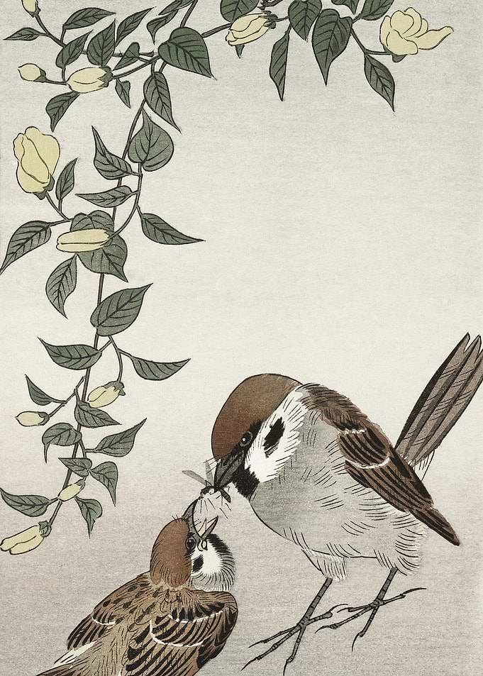 Birds And Plants 1900 193