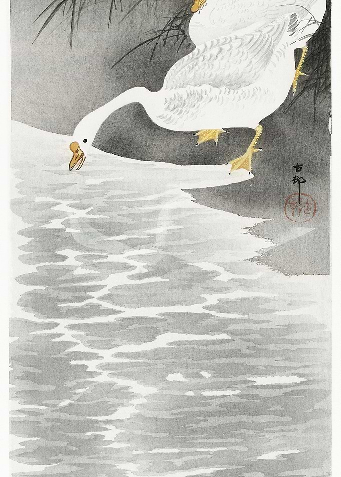 Geese On The Shore 1900 1