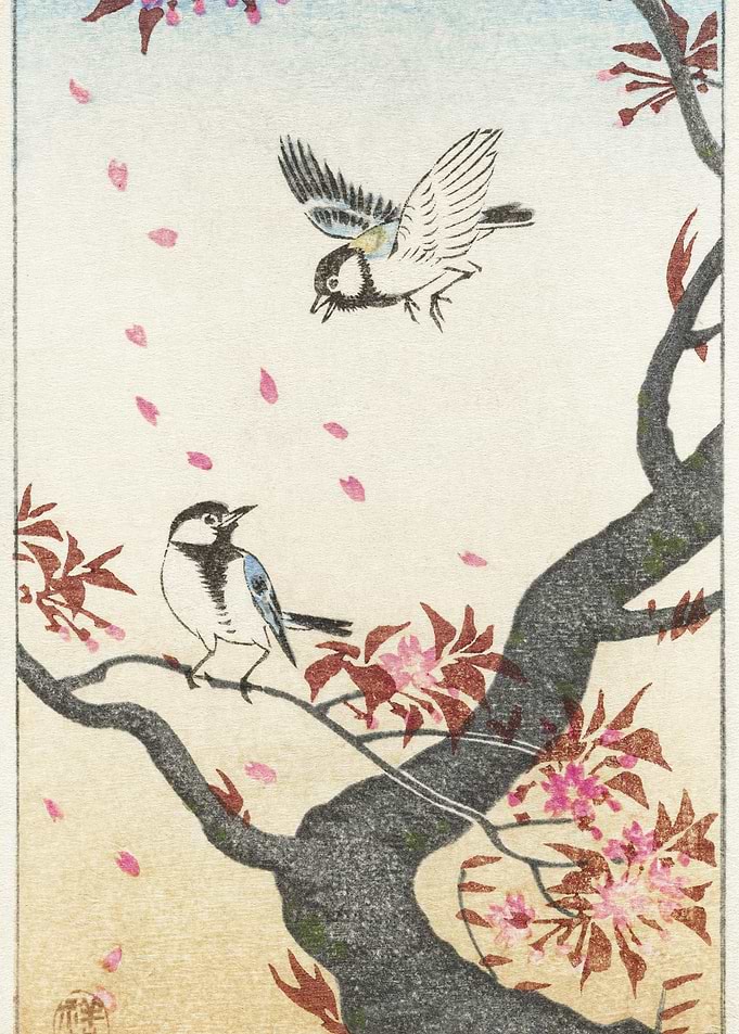 Two Great Tits At Blossomi