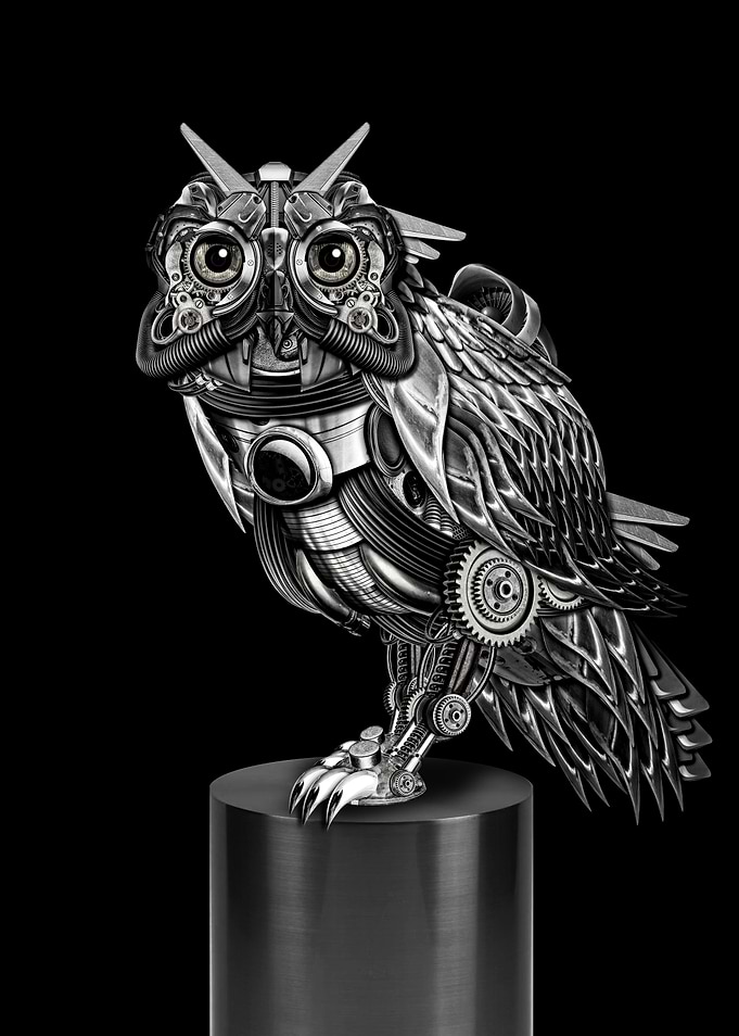 night eye bw origin