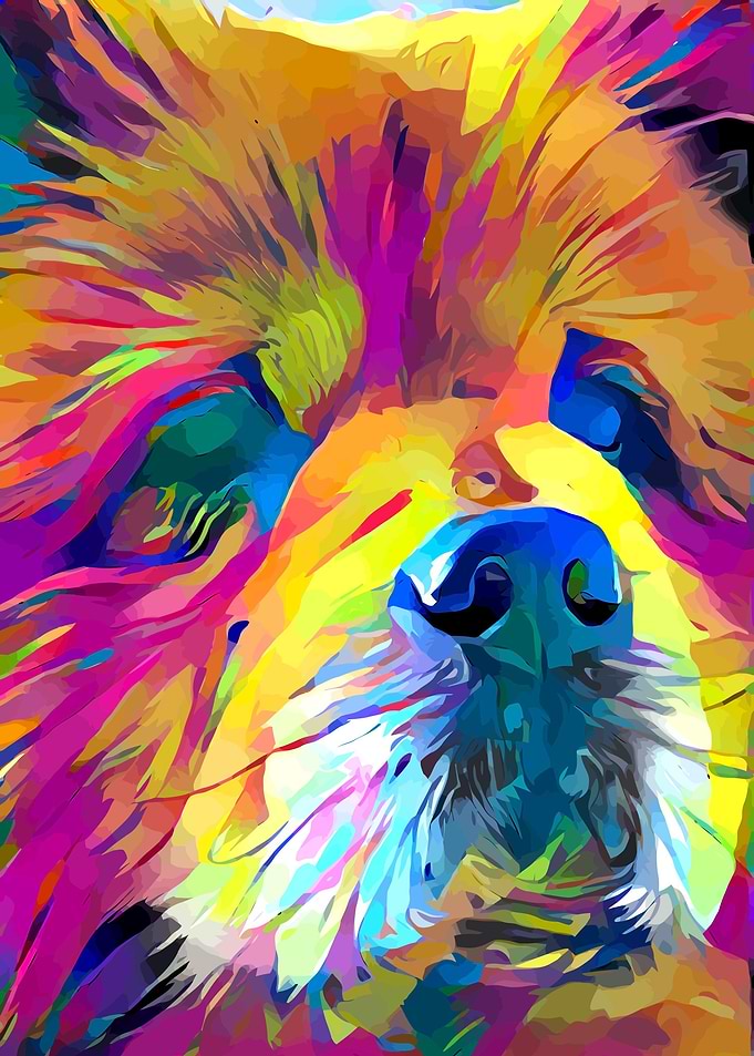 Chow Chow