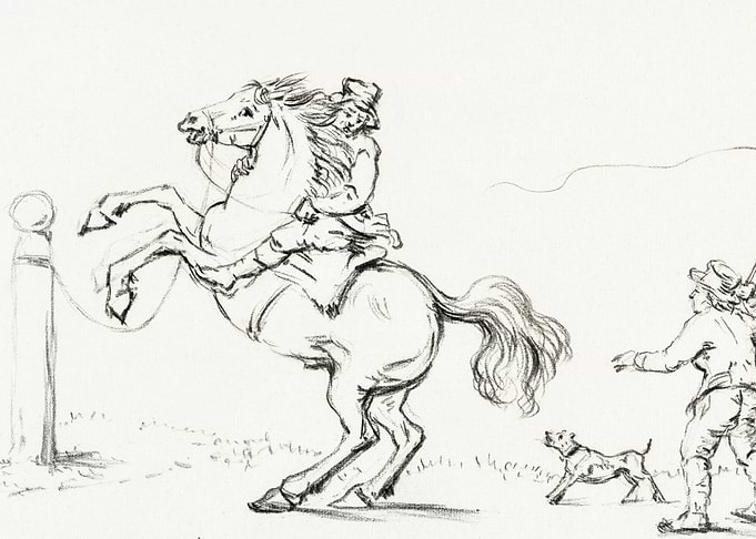 Taming A Horse By Jean Ber