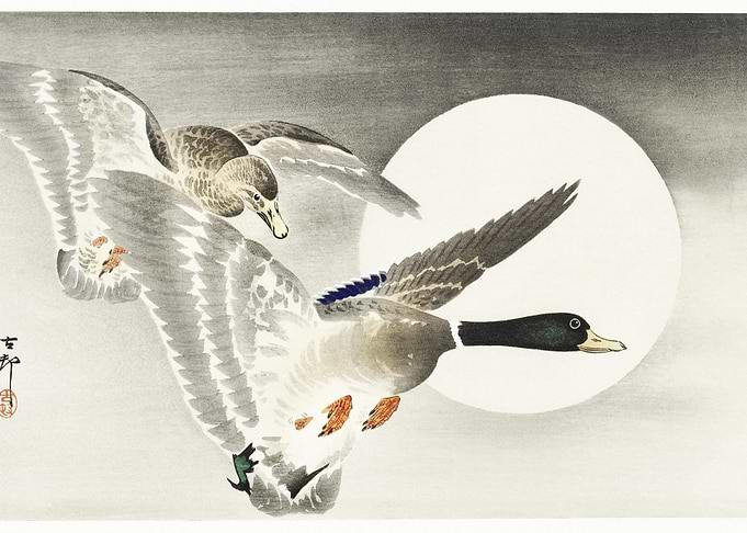 Two Ducks At Full Moon 190