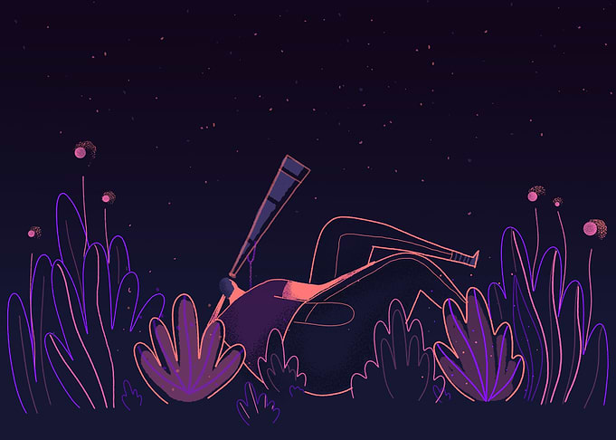 Night sky