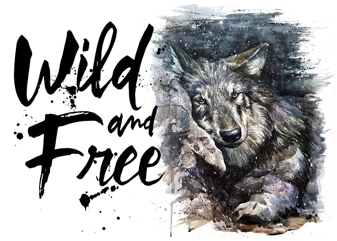 Wolf Wild and Free