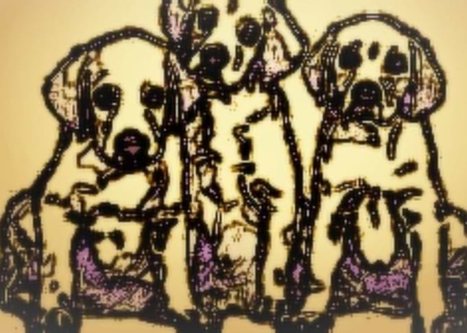 dogs
