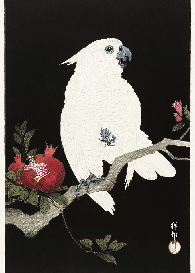 Cockatoo And Pomegranate 1