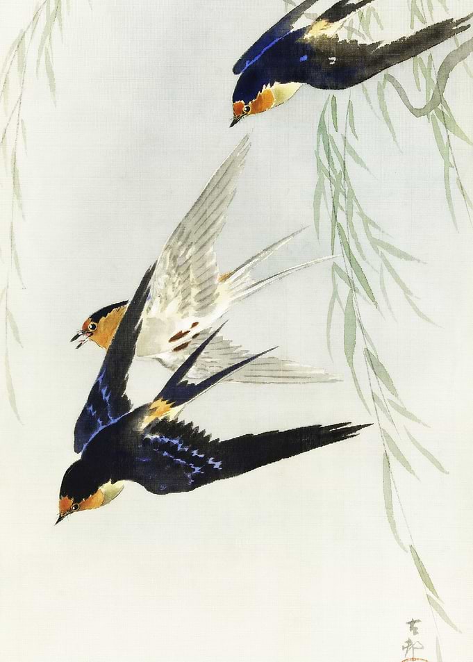 Three Birds In Full Flight