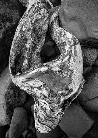 Driftwood Curve