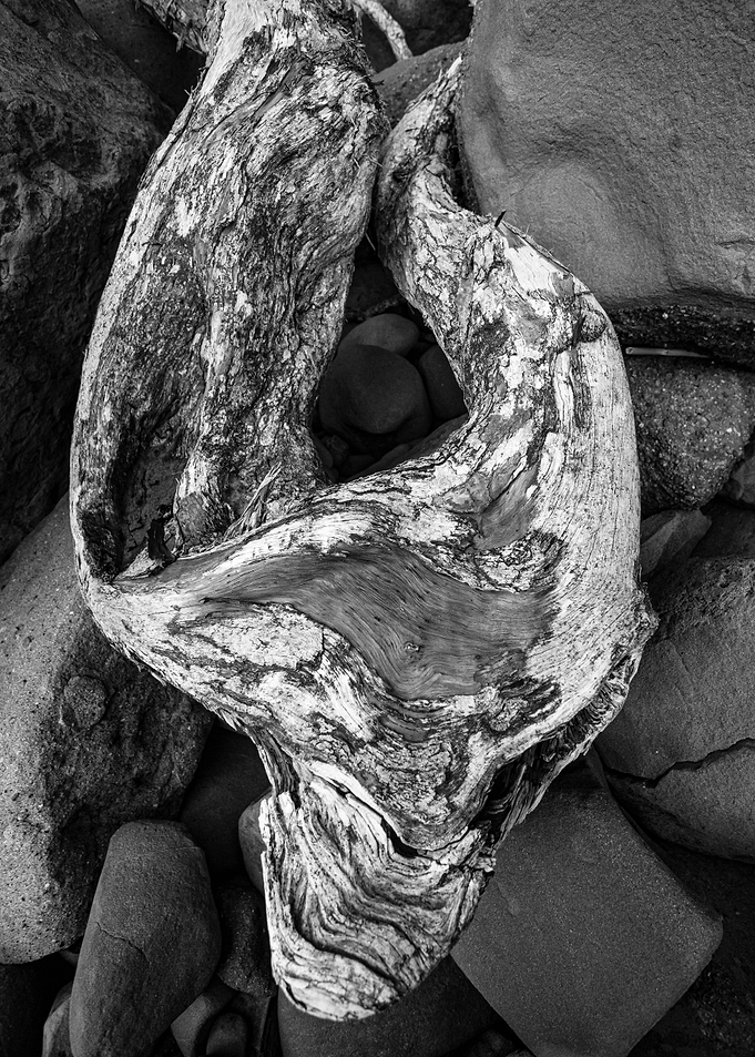 Driftwood Curve