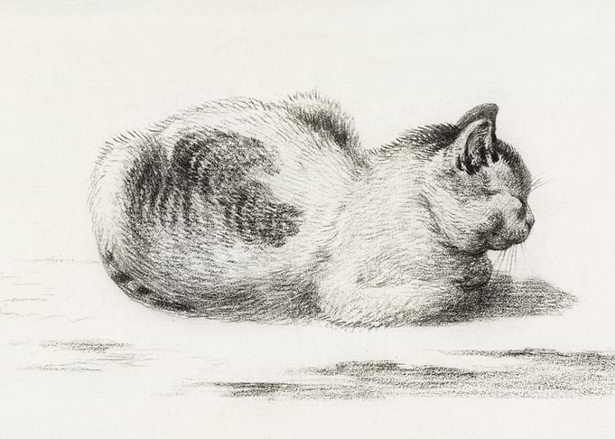 Reclining Cat By Jean Bern