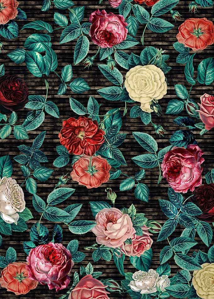 Garden of Roses