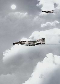 Phantoms