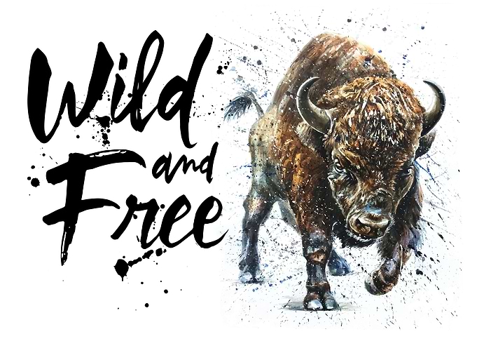Buffalo Wild and Free