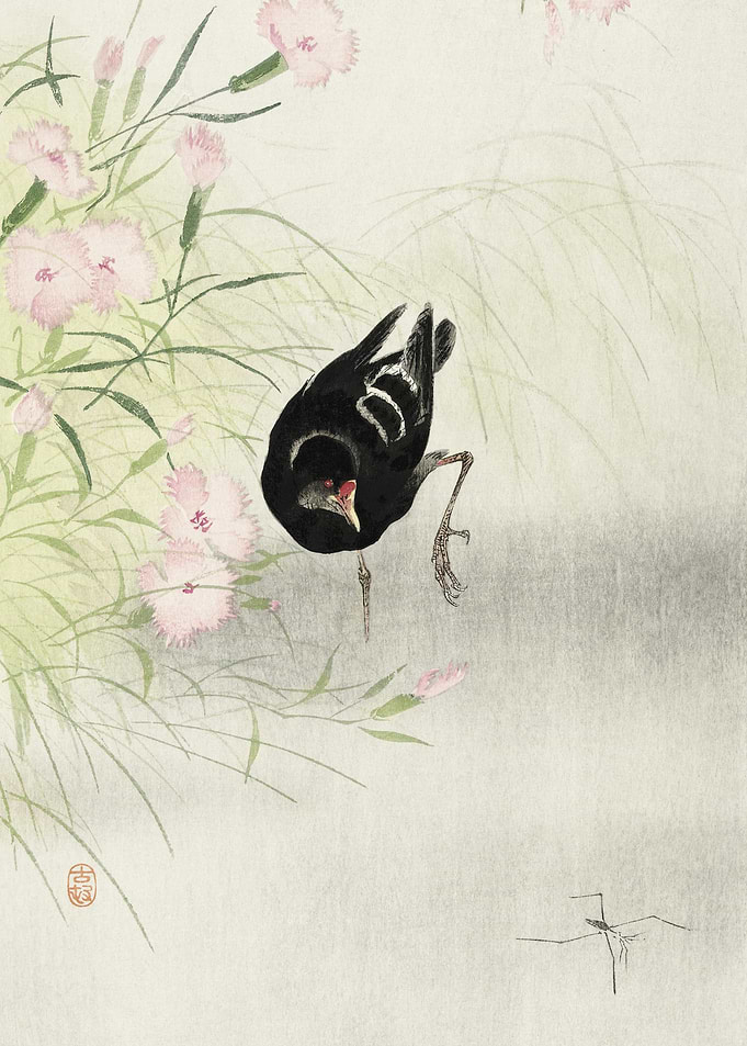 Moorhen At Flowering Plant