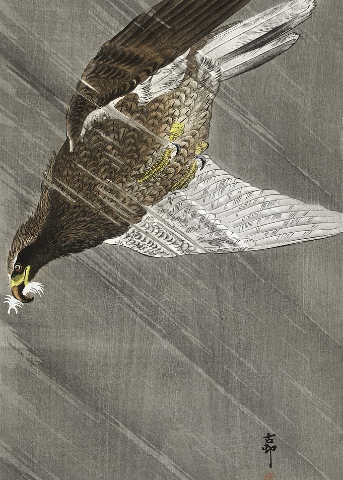 Downward Flying Eagle 1900
