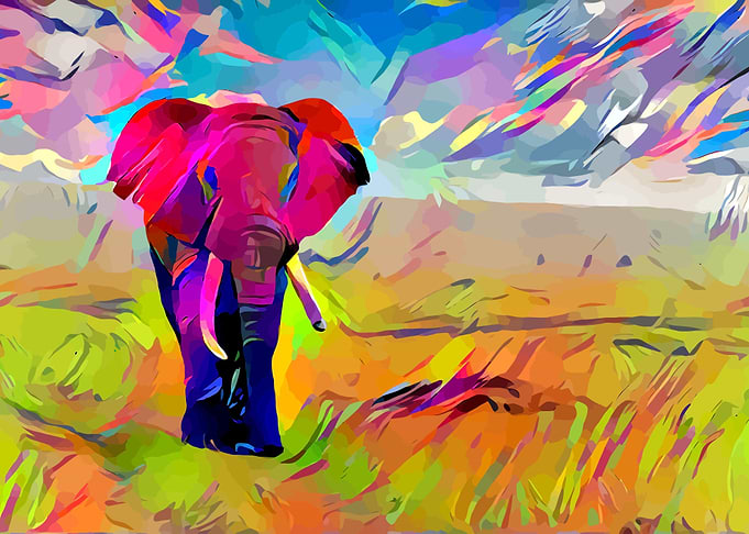 Elephant