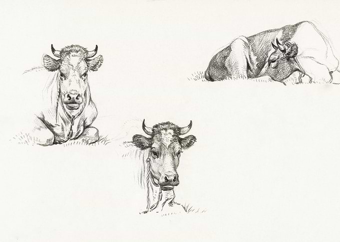Three Sketches Of A Lying