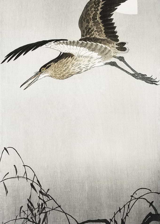 Heron And Moon 1900 1910