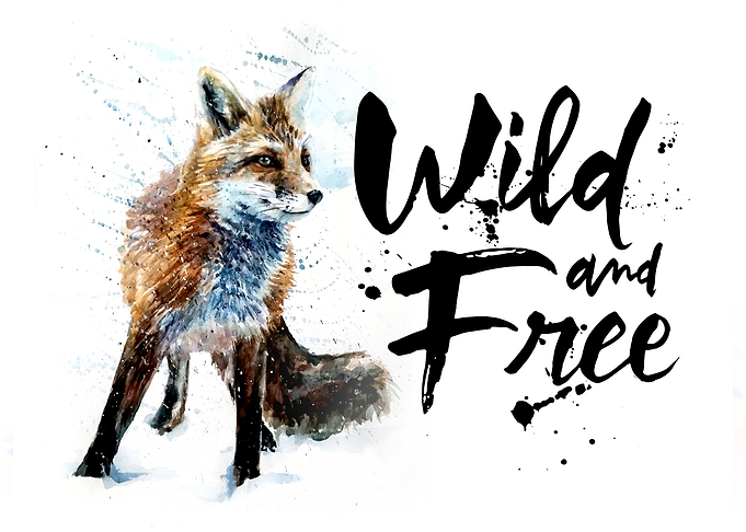Fox wild free watercolor