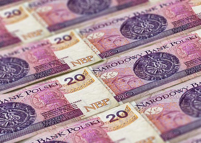 20 Polish Zloty pattern