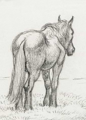 Standing Horse By Jean Ber