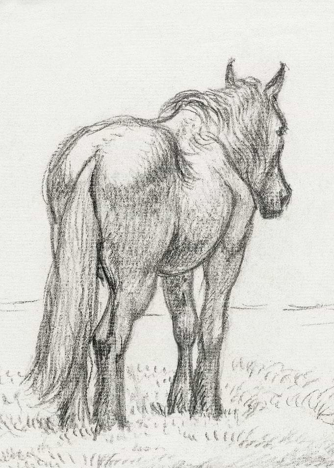 Standing Horse By Jean Ber