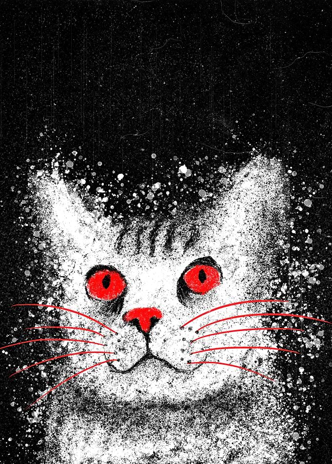 Cute Cat