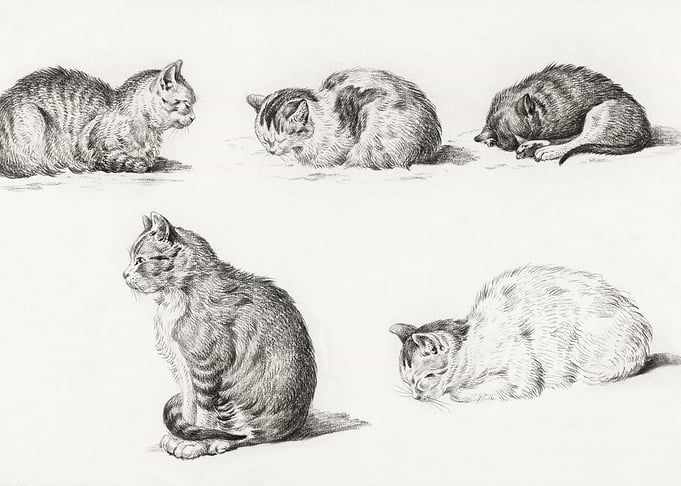 Five Studies Of Cats 1812