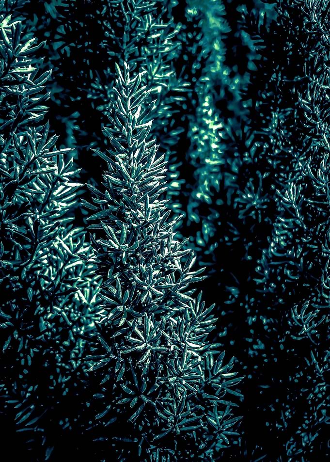 green plant