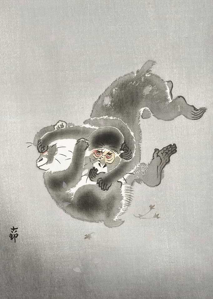 Two Playing Monkeys 1900