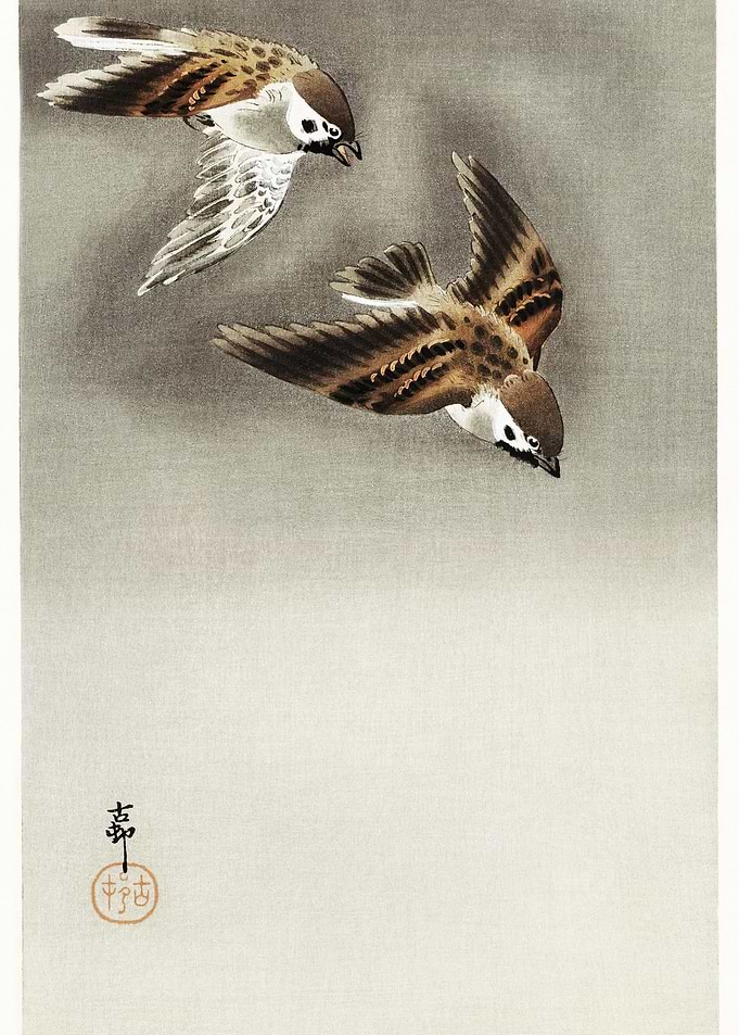 Ring Sparrows In Snow 1900