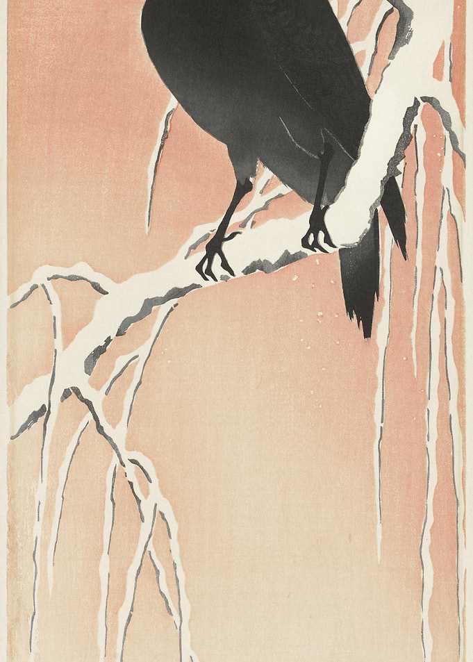 Crow On Snowy Branch 1900