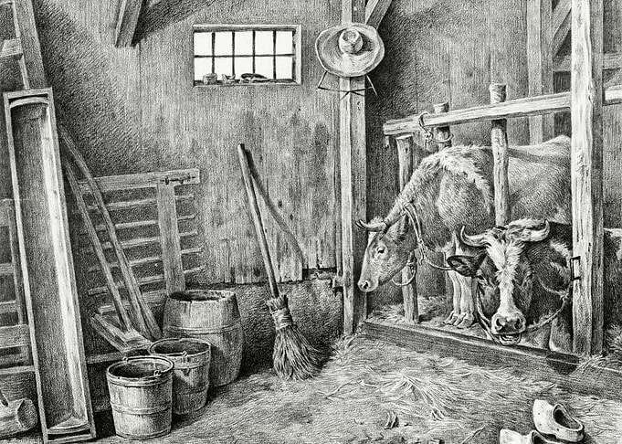 Two Cows By Jean Bernard 1