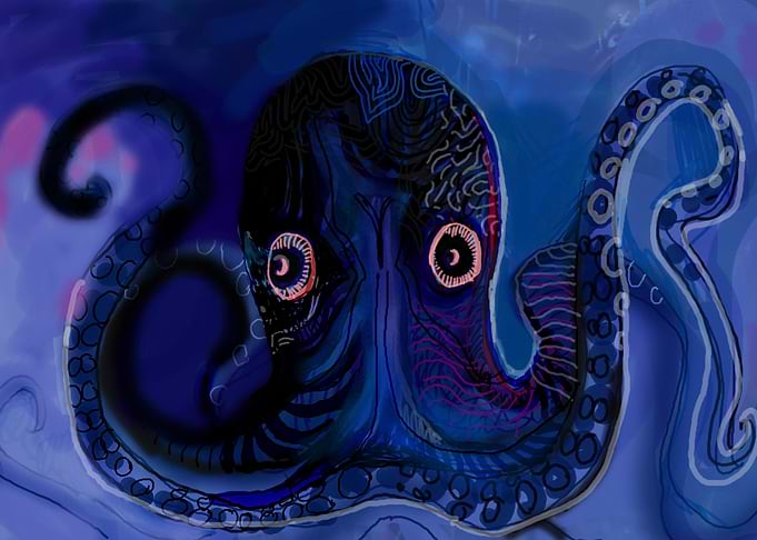 Octopus in water